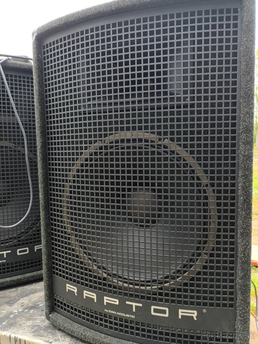 Dan Acoustic Raptor